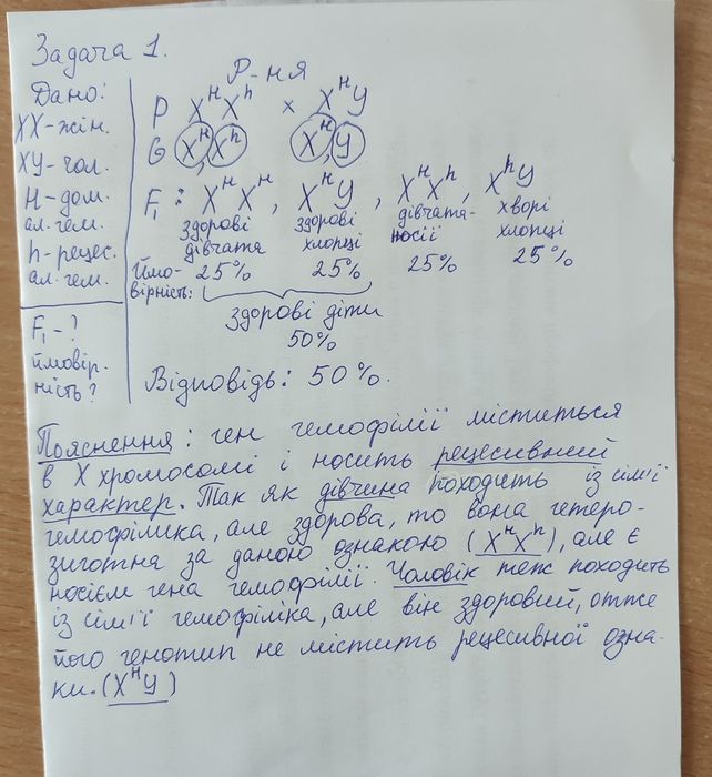 Репетитор, виконую завдання