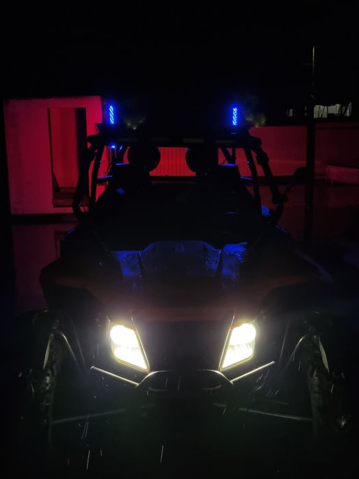 Arctic cat wildcat 1000