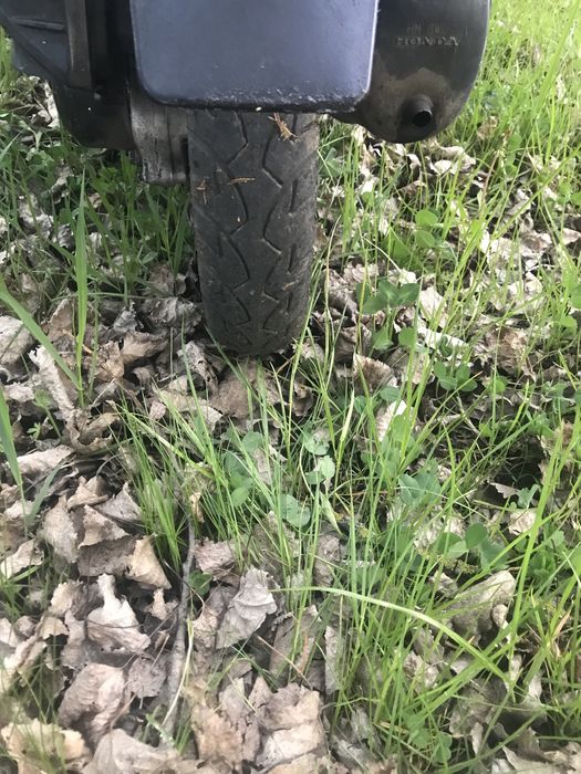 Продам Хонда Діо 18