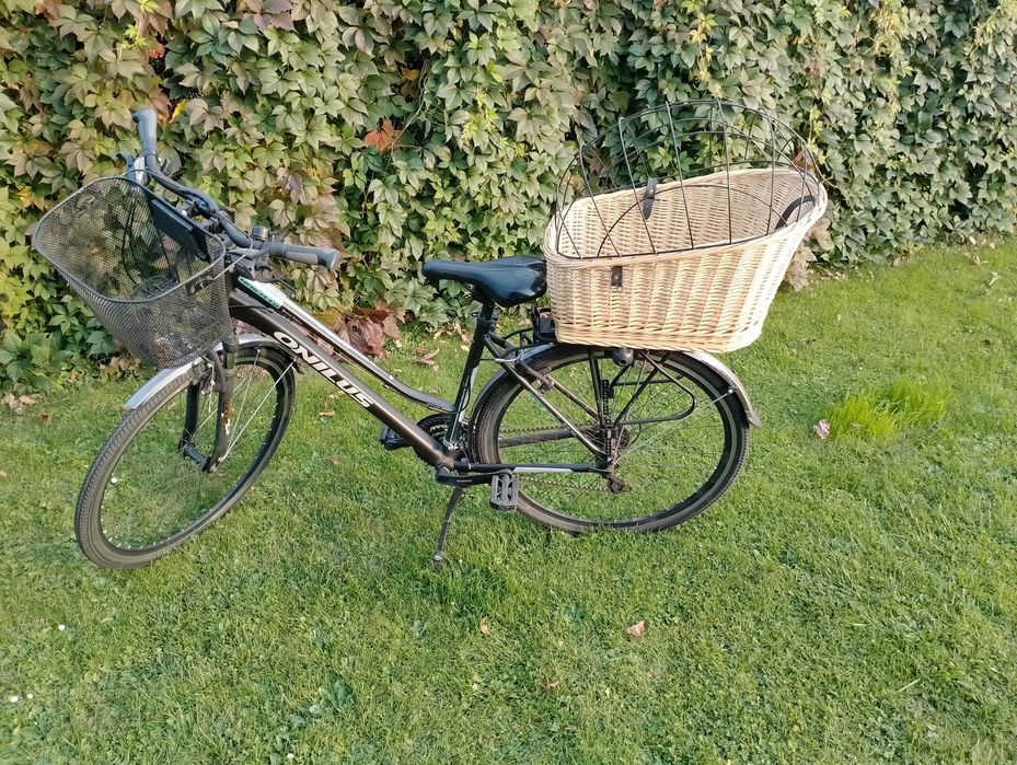 Kosz rowerowy na bagażnik dla psa