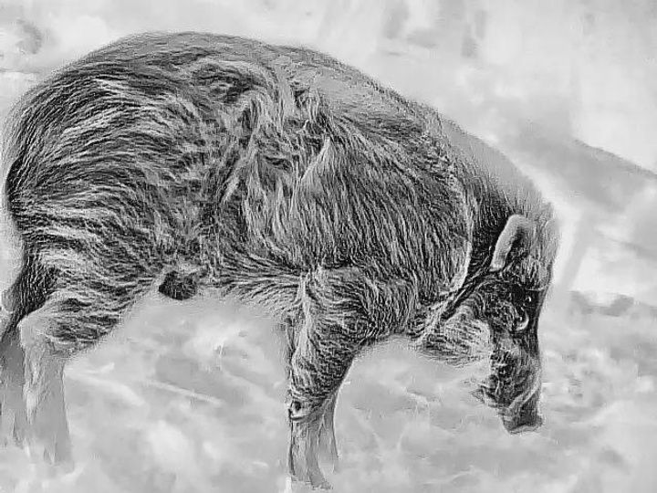 Монокулярний Тепловізор GUIDE TD 420