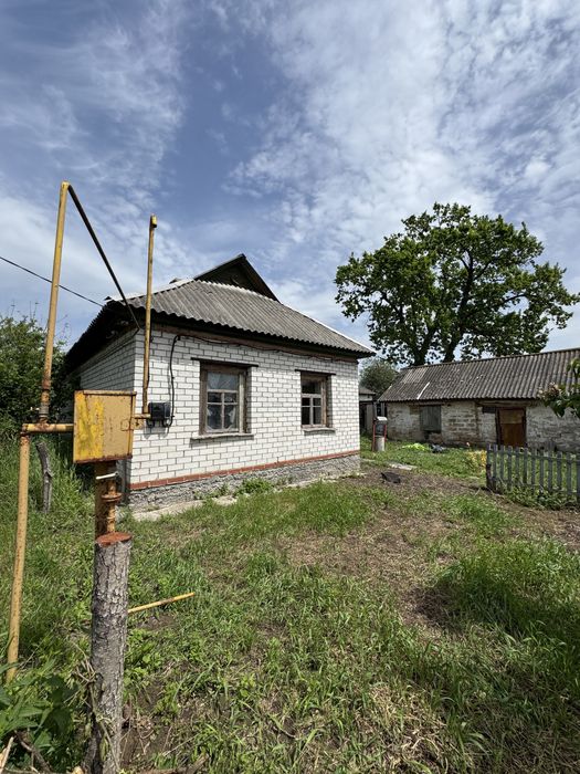 Продаж будинка в Новому Білоусі