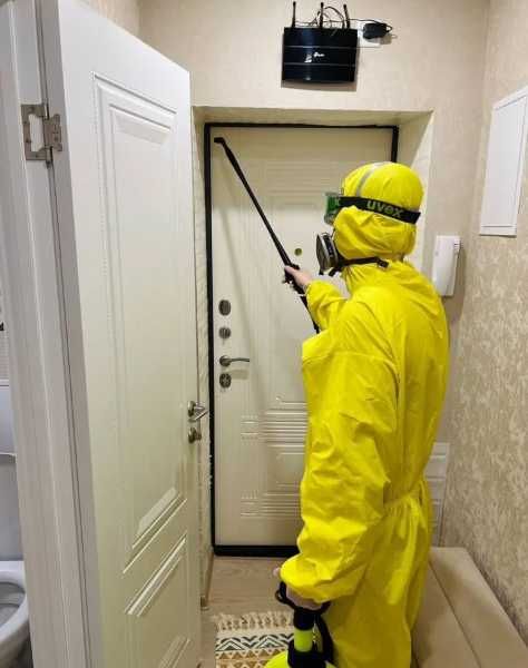 Обработка от тараканов и клопов дезинфекция квартир помещений