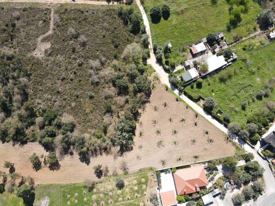 Terreno Urbano/Rústico para venda