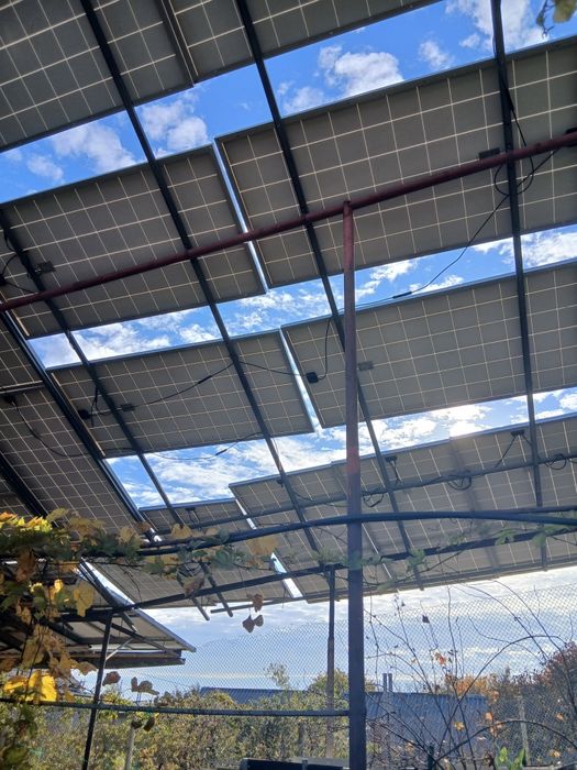 Сонячні панелі risen 330w