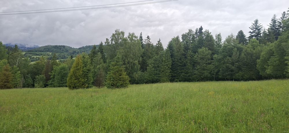 Działka Glinka Smerekow - Widok 4