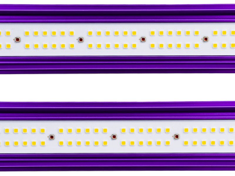 Grow Lights504077964983019522