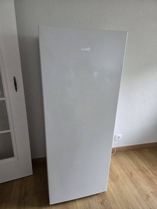Arca congeladora vertical semi-nova