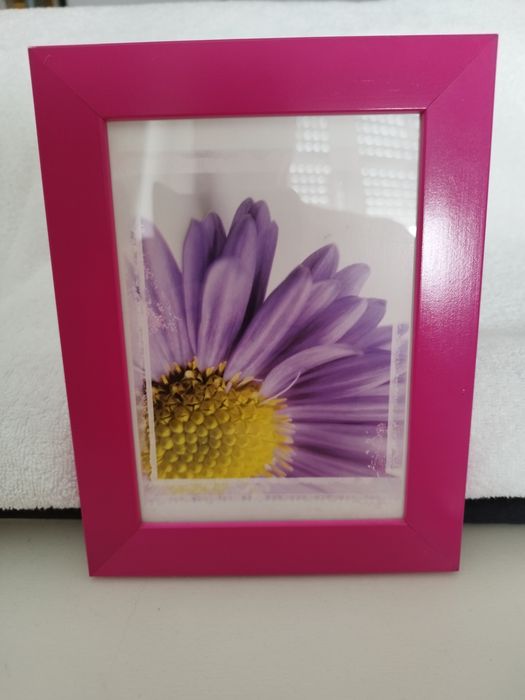 Molduras de Parede64740464573698124