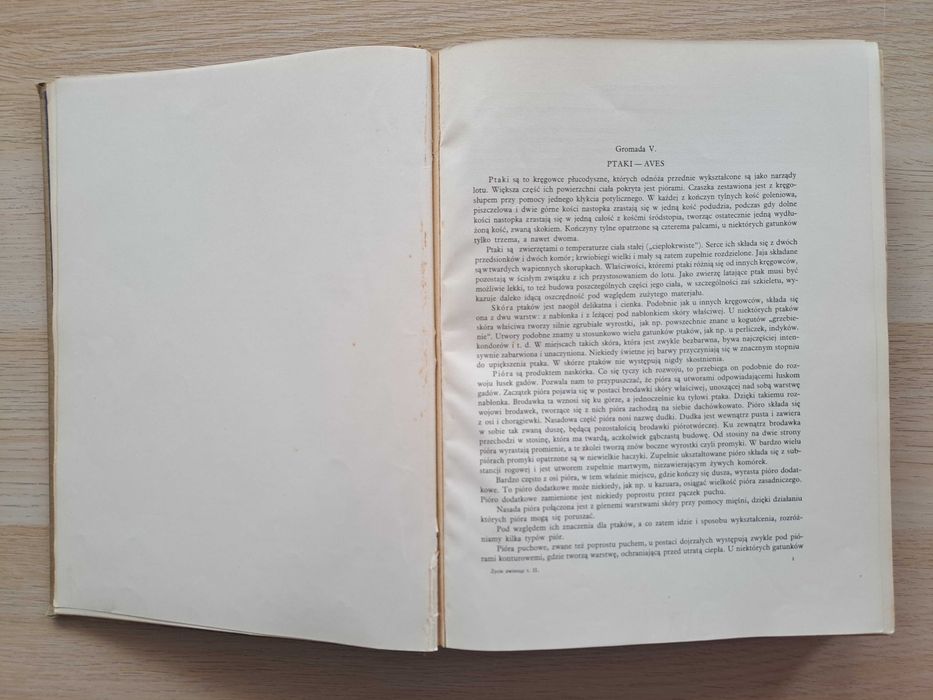 1936 rok. Życie zwierząt. Brehm