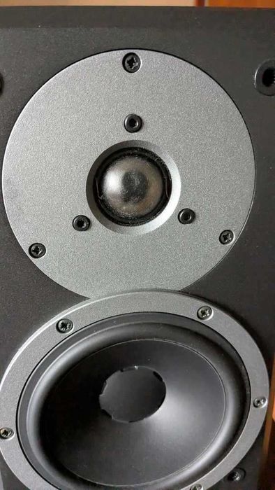 Акустична система Dynaudio DM 2/6