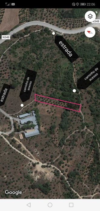 Terreno rústico com olival e pinhal