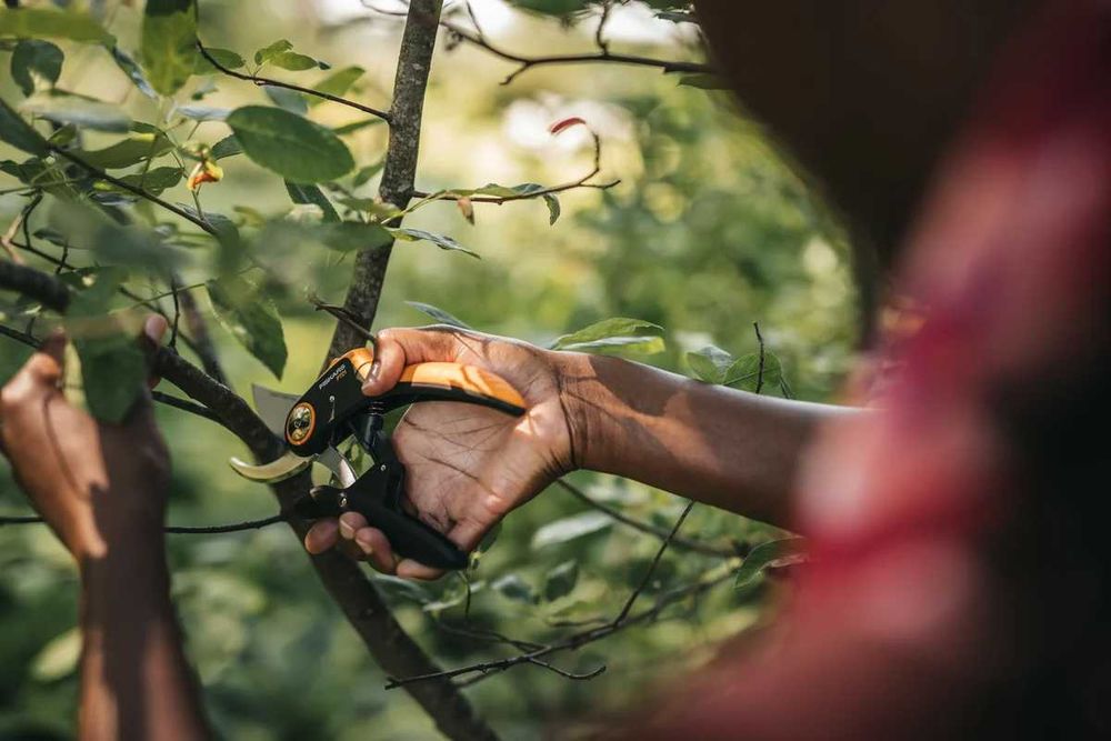 Площинний секатор Fiskars Plus PowerLever P721