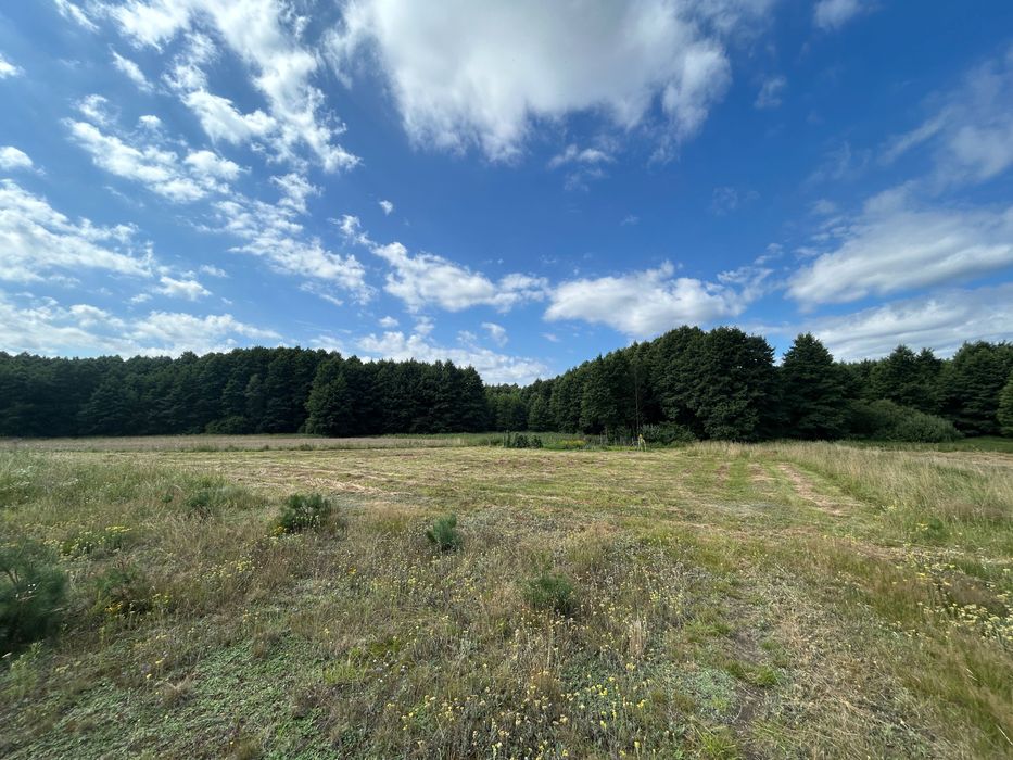 Działka budowlana 1700 m² – Osiek, powiat starogardzki – 300 m od jeziora - Widok 5