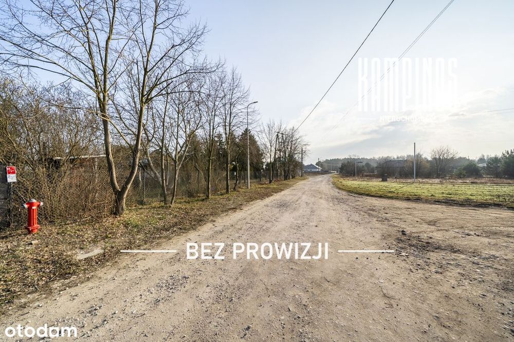 Zdjęcie 8