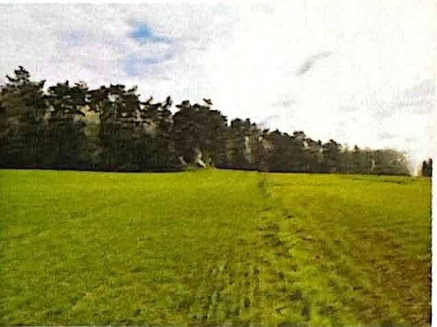 2,2 Ha Działki Budowlano-Rolne Laski Dworskie