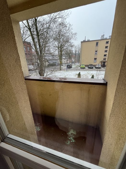 Zdjęcie 8