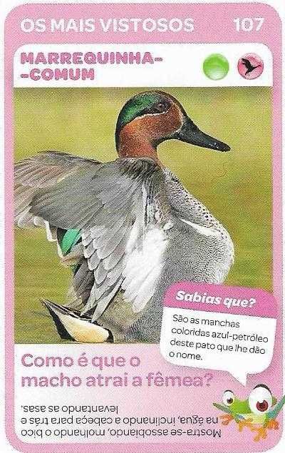 Super Animais 1 - - - Cromos - Cartas Soltas Pingo Doce - - - - Cromos