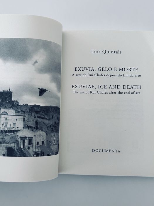 Luís Quintais: Exúvia, gelo e morte —A arte de Rui Chafes