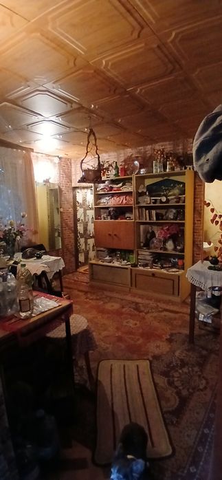 Działka ROD "Gaj" ul. Janowiecka 77 - Widok 3