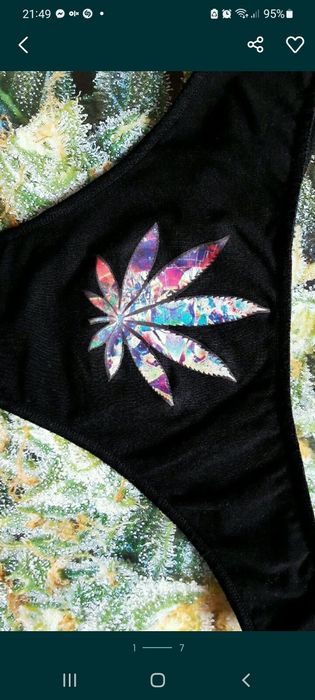 Stringi środa dzień loda marihuana oreo