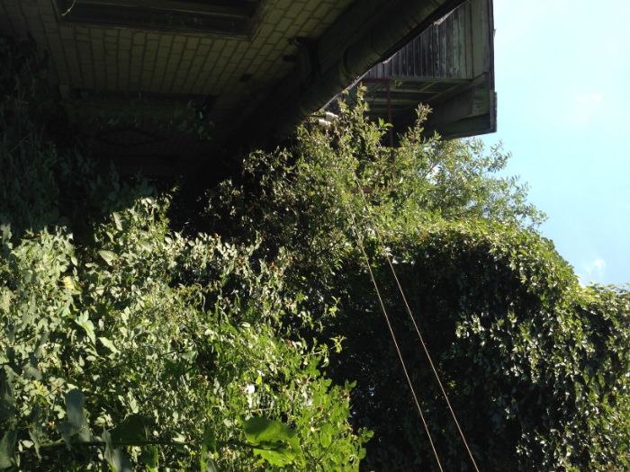 Продається будинок в місті Мена Чернігівської області.