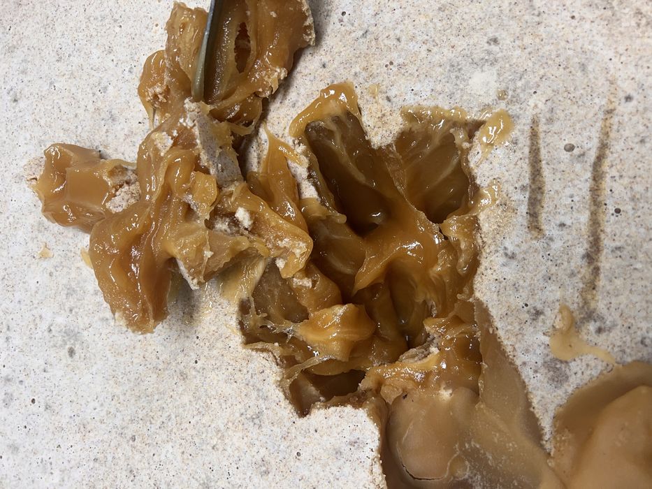 Miód pszczeli,ule,pasieka,pszczoły