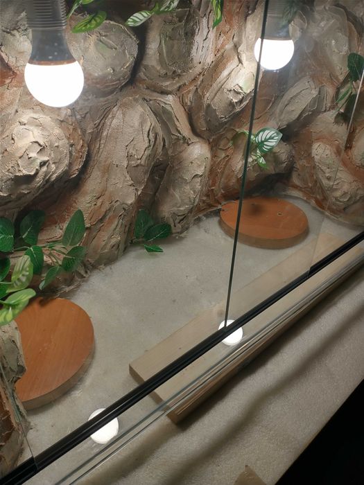 Terrarium szklane 80x40x35