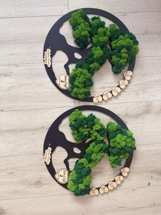 Dwa obrazy mech chrobotek