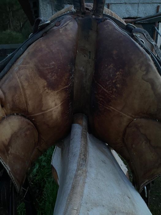 Sela à portuguesa n40, equitação