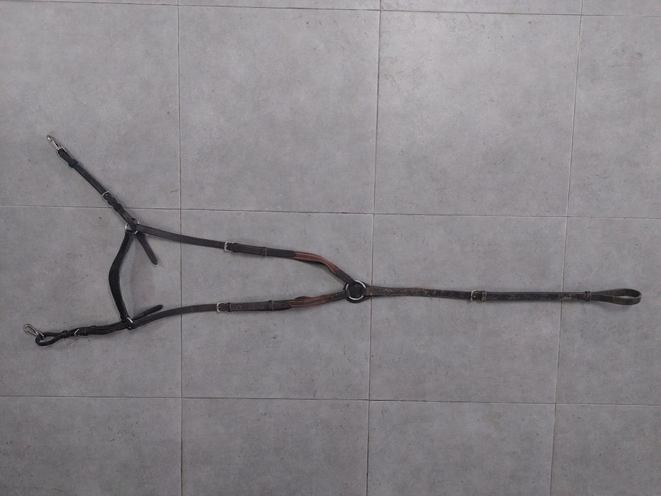 Cabeçadas/ Peitorais/ Gamarra