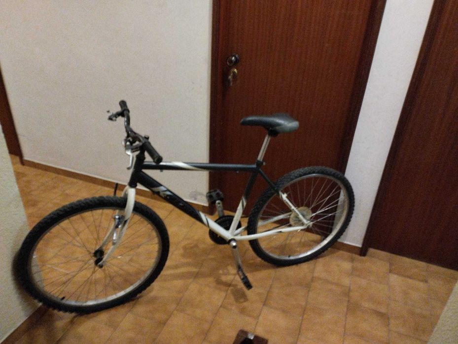 Conjunto de bicicletas