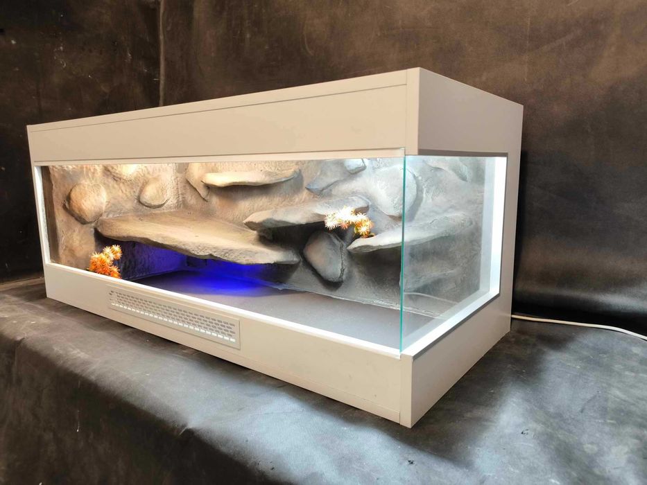 Terrarium pustynne agama gekon wąż zbożowy
