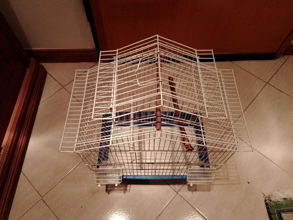 Gaiola em bom estado para canários ou piriquitos.