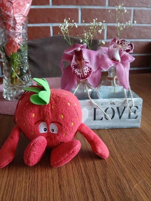 Truskawka Świeżak Junior