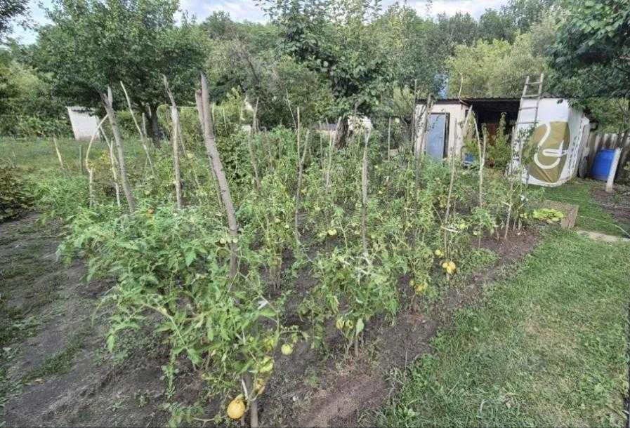 Продаж дачі у передмісті