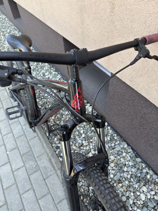 Dartmoor sparrow intro 27.5