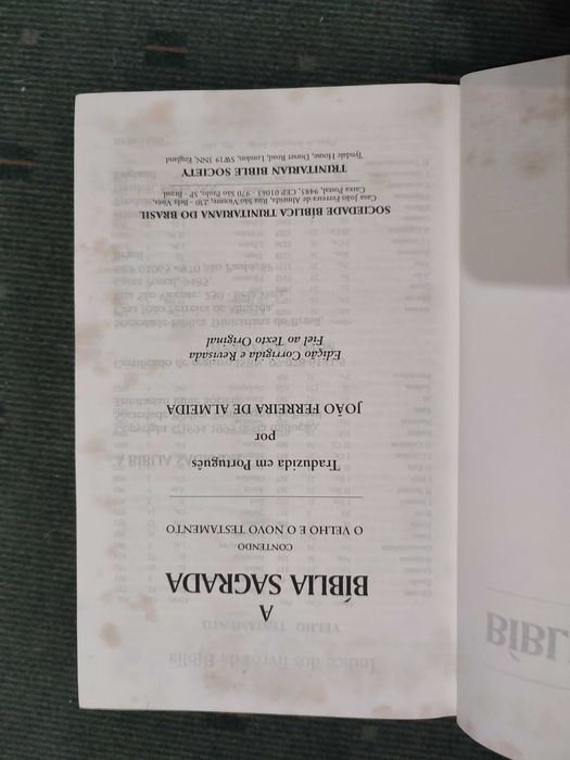 Lote 7 Biblias Diferentes Edições