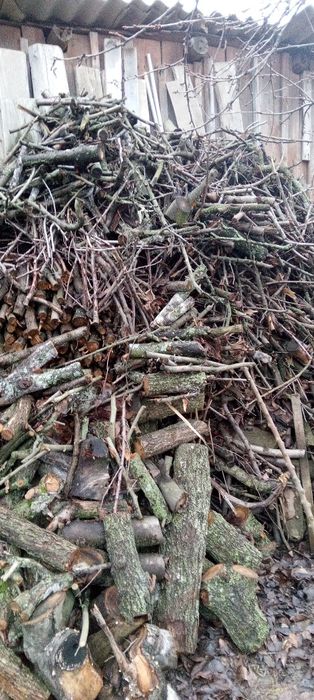 Дрова фруктовых деревьев 2000 грн