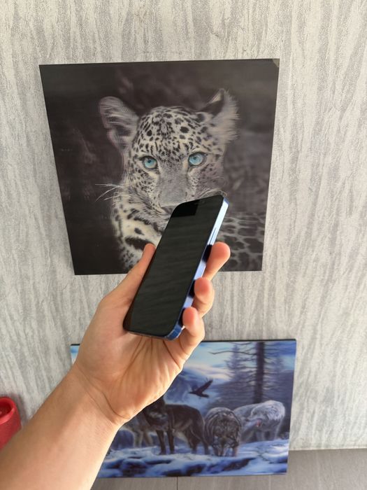 Iphone 12 mini 92% blue