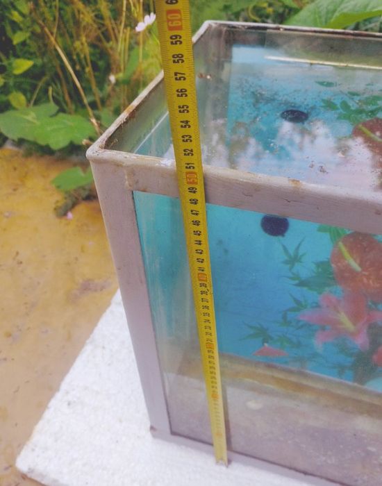 Аквариум декор террариум  не течет