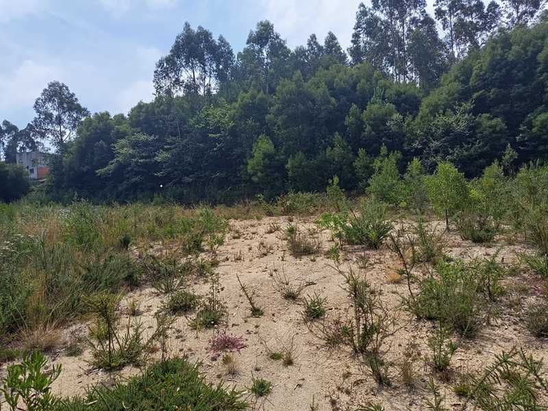 Alugo Arrendo terreno