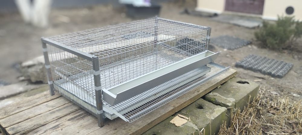 Клітка для перепелів на 1 ярус