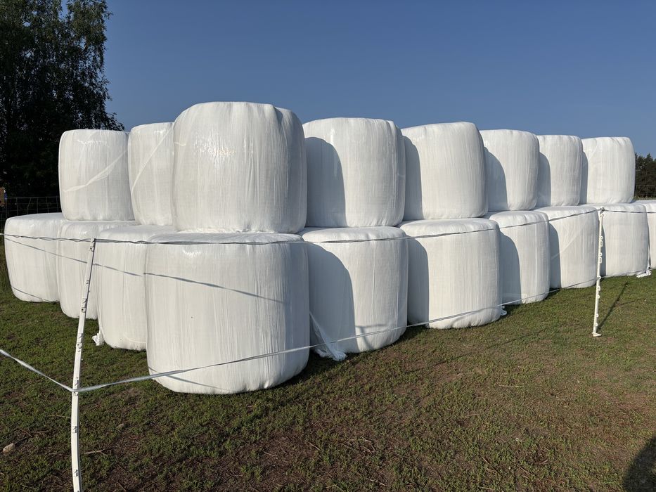 Sianokiszonka 2025 r.