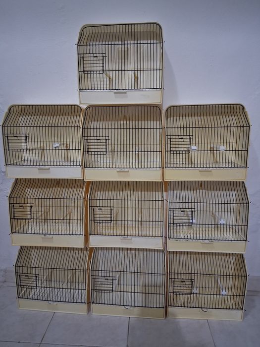 10 gaiolas de exposição