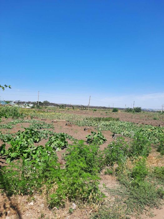 Продам земельну ділянку