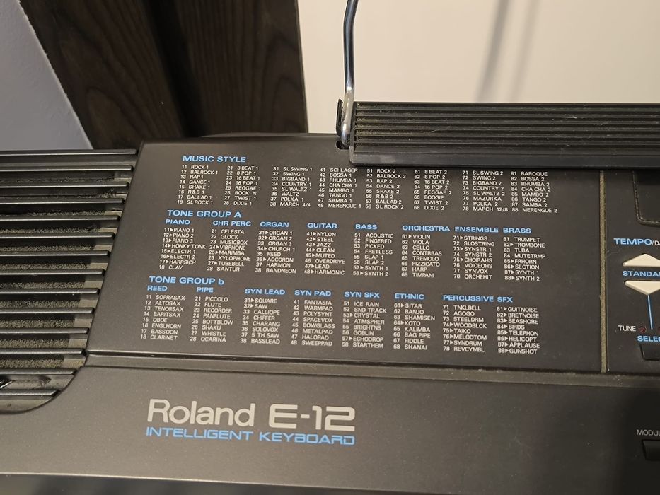Órgão/piano Roland E-12