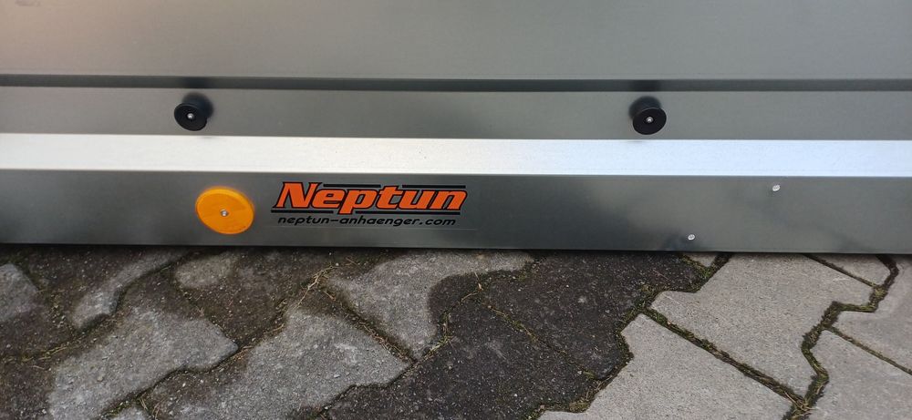 Burty z podłoga neptun