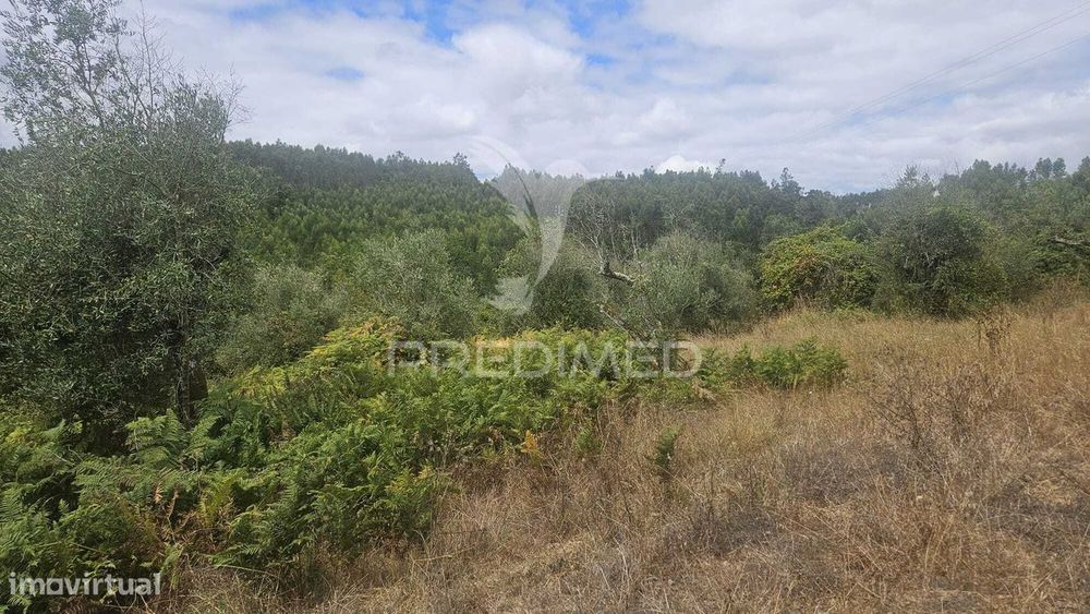 Quinta Com 14.280 M² | 3 Ruínas | 5 Poços | Nascente | Perto De Dor...