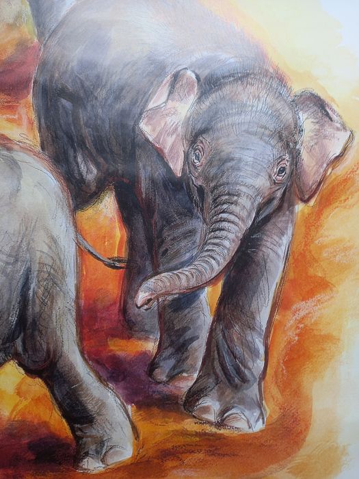 Poster / cartaz do zoológico de Berlim